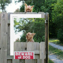 Search for yorkie lover postcards Dog
