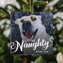 Search for funny dog ornaments Create your own