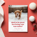 Search for funny pet photo christmas cards Cute dog