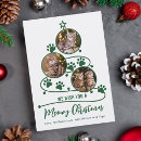 Search for meowy christmas cards Green