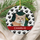 Search for paw with ornaments Pet