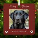 Recherche de joyeux noël de chien Simple