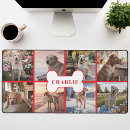 Recherche de co tapis souris Animal