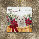 Recherche de maltese ornements Animal