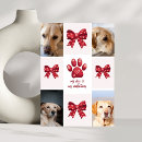 Search for labrador valentines day cards Pet