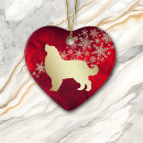 Search for rescue ornaments Red