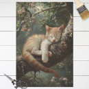 Search for sleeping kitty Kitten