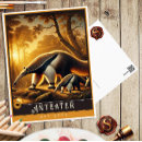 Recherche de fourmis cartes postales Nature