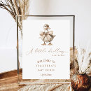 Search for ducklings A little duckling