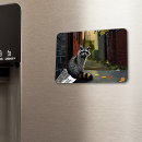 Search for trash magnets Garbage