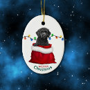 Search for labradoodle ornaments Animal