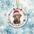 Search for chesapeake bay retriever ornaments Animal