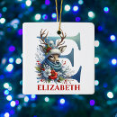Search for letter e ornaments Winter