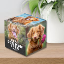 Recherche de puppys Pour elle