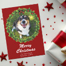 Search for pet photo christmas cards Red