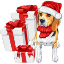 Recherche de noël de beagle cartes postales Vacances