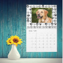 Search for dog calendars Cat