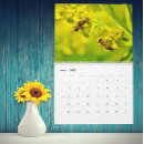 Search for bee calendars Insect