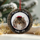 Search for cat in frame ornaments Keepsake