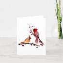 Search for cardinal vertical note cards Winter