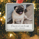 Search for elegant pet memorial ornaments In loving memory