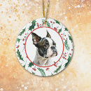 Search for border terrier ornaments Animal