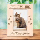 Search for cute cat picture frames Kitty