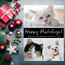 Search for funny dog and cat christmas cards Modern