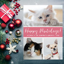 Search for three cats christmas cards Funny