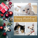 Search for dog and cat christmas cards Funny