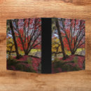 Search for tree leaves binders Botanical