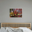 Recherche de arbres colorés posters Photographie de la nature