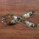 Search for film strip Memories