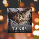 Search for cat memorial gifts Forever in our hearts