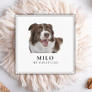 Search for instagram influencer business cards Animal trends