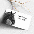 Recherche de cheval noir cartes visite Équitation