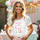 Search for fiesta birthday tshirts Colourful