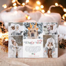 Search for christmas and new years cards What a year