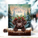 Search for chocolate lab cards Chocolate labrador retriever