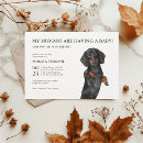 Recherche de chien saucisse invitations Chiot