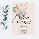 Search for nativity invitations Elegant