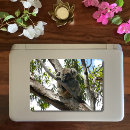Search for cute marsupial stickers Children