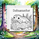 Search for newt cards Salamander