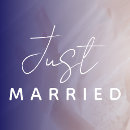 Search for just married car decor Elegant