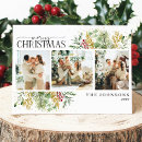 Search for red berries christmas cards 3 photos