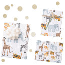 Search for baby lion wrapping paper Watercolor