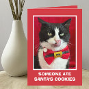Search for tuxedo cat cards Humour