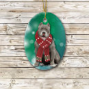 Search for bully ornaments Pet