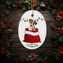 Search for jack russell dog ornaments Animal