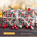Search for bernese mountain dog christmas wrapping paper Pets